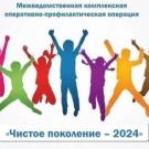 чистое поколение
