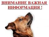 ВНИМАНИЕ ОТЛОВ.jpg