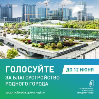 Голосование.jpg