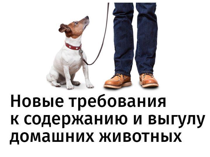 требования.jpg