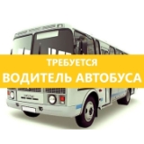 автобус водитель.jpg