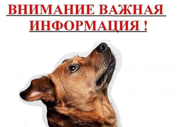 999 ОТЛОВ.jpg