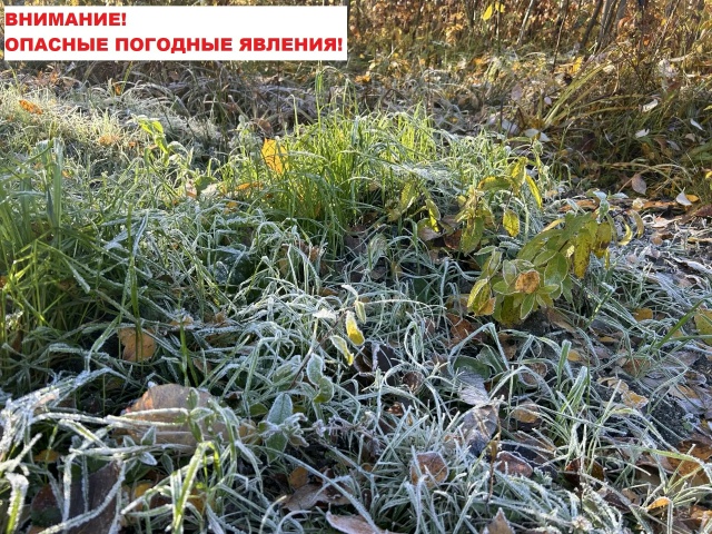 заморозки.jpg