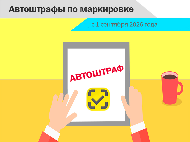 avtoshtrafy-po-markirovke.jpg