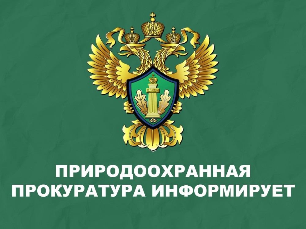 природоохранная прокуратура информирует.jpg
