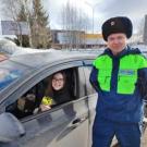 Автоледи